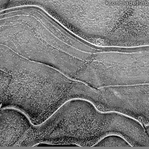 Ismnster Ice patterns